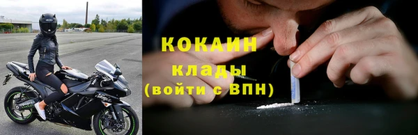 гашик Аркадак