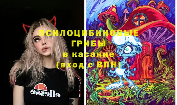 гашик Аркадак
