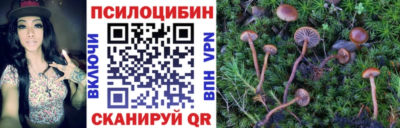купить наркотик  omg вход  Псилоцибиновые грибы GOLDEN TEACHER  Петухово 