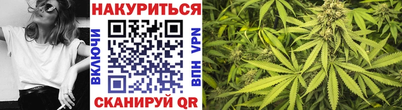 где купить наркотик  Петухово  Шишки марихуана гибрид 